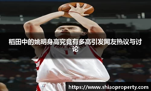 稻田中的姚明身高究竟有多高引发网友热议与讨论