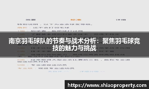 南京羽毛球队的节奏与战术分析：聚焦羽毛球竞技的魅力与挑战