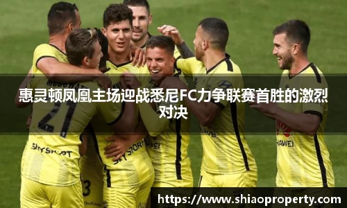 惠灵顿凤凰主场迎战悉尼FC力争联赛首胜的激烈对决