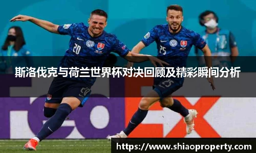 斯洛伐克与荷兰世界杯对决回顾及精彩瞬间分析